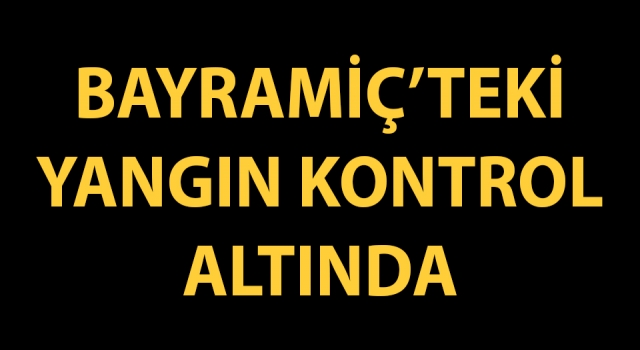 Bayramiç’teki yangın kontrol altında