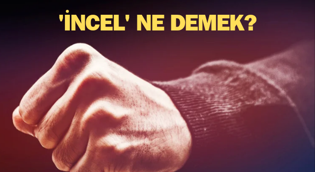 İncel ne demek? İncel terörü ya da incel şiddeti nedir?