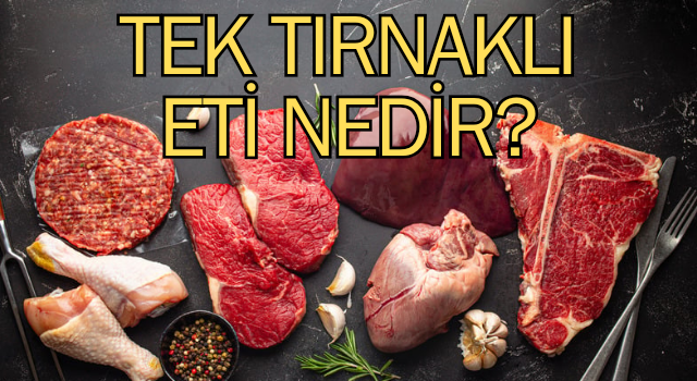 Tek tırnaklı hayvanlar: Tek tırnaklı eti nedir, ne demek?