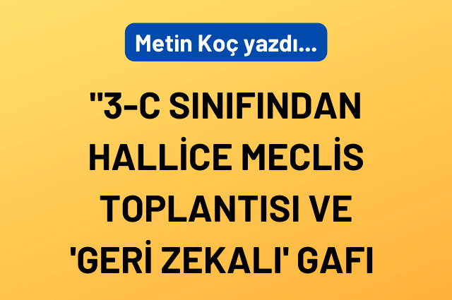 3-C sınıfından hallice meclis toplantısı ve ‘geri zekalı’ gafı