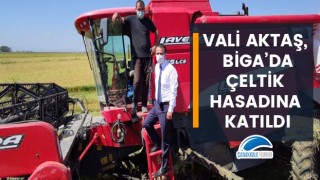 Vali Aktaş, Biga'da çeltik hasadına katıldı