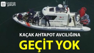 Çanakkale’de kaçak ahtapot avcılığına geçit yok