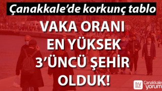 Çanakkale’de korkunç tablo: Vaka oranı en yüksek 3’üncü şehir olduk!