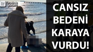 Denize düşen gemicinin cansız bedeni karaya vurdu!