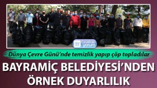 Bayramiç Belediyesi, Çevre Günü'nde temizlik yaptı