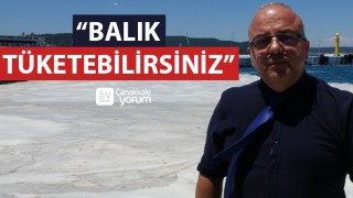 Prof. Dr. Yiğit: “Canlı avladığınız ya da tezgahlardaki balıkları tüketebilirsiniz”