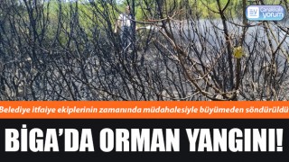 Biga’da orman yangını!