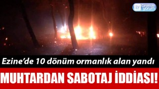 Ezine’de 10 dönüm orman yandı: Muhtardan sabotaj iddiası!