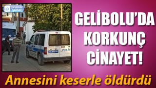 Gelibolu’da korkunç cinayet: Annesini keserle öldürdü!