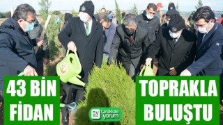 Çanakkale’de 43 bin fidan toprakla buluştu