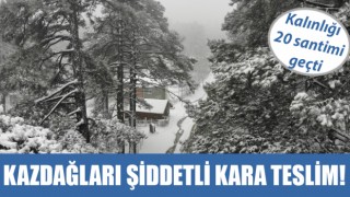 Kazdağları şiddetli kara teslim!