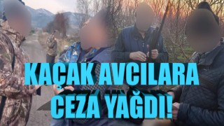 Kaçak avcılara ceza yağdı!