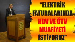 Selçuk Semizoğlu: “Elektrik faturalarında KDV ve ÖTV muafiyeti istiyoruz”