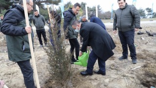 Şehitler anısına fidan diktiler