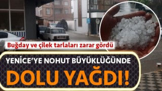 Yenice’ye nohut büyüklüğünde dolu yağdı!