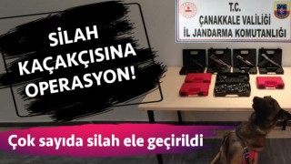 Çanakkale’de silah kaçakçılığı operasyonu!