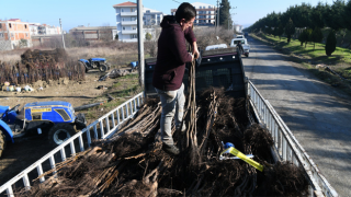 Çanakkale’de 2023 yılının ilk fidan ihracatı Bulgaristan'a yapıldı