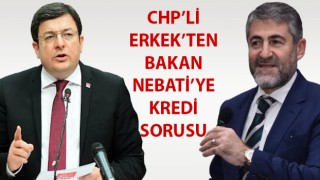 CHP’li Erkek’ten Bakan Nebati’ye kredi sorusu