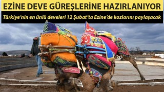 Ezine deve güreşlerine hazırlanıyor