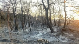 Çanakkale’deki yangın kontrol altına alındı