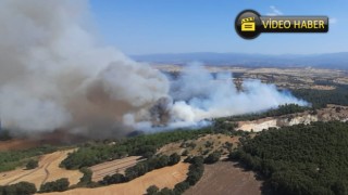 (GÜNCELLENDİ) Çan’daki orman yangını kontrol altına alındı - Çanakkale Yorum