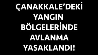 Çanakkale’deki yangın bölgelerinde avlanma yasaklandı!