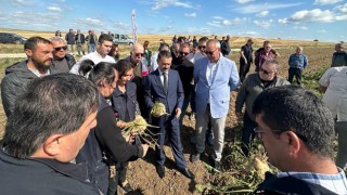 Çanakkale’de şeker pancarı hasadı başladı