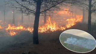 Karabiga’daki orman yangını kontrol altında – Çanakkale Yorum