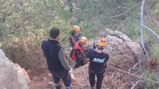 Mahsur kalan keçilerin imdadına AFAD yetişti – Çanakkale Yorum