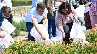 Çanakkale Tarihi Alan’da şifa çiçekleri açıyor