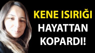 Kene ısırığı hayattan kopardı!