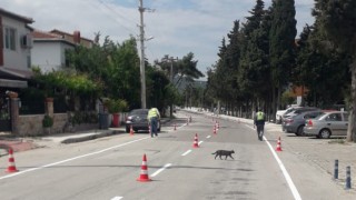 Yatay trafik işaretleme uygulamaları sürüyor – Çanakkale Yorum