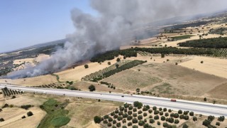 Çanakkale-Gökçalı köyünde yangın!