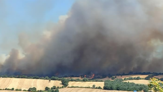 Bayramiç’te orman yangını! (Çanakkale Yorum)