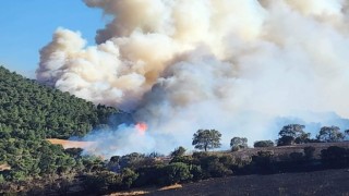 Çanakkale'de çiftçilere önemli uyarı... 1 gün önceden haber vermeleri gerekecek!