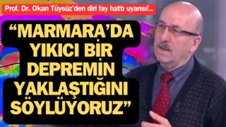 Prof. Dr. Okan Tüysüz'den diri fay hattı uyarısı: Marmara Bölgesi’ni işaret etti!