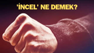 İncel ne demek? İncel terörü ya da incel şiddeti nedir?