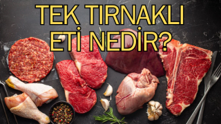 Tek tırnaklı hayvanlar: Tek tırnaklı eti nedir, ne demek?